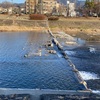 鴨川の水量