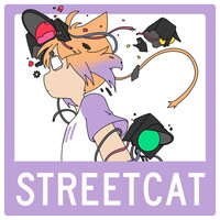 FLAVOR FOLEY - streetcat Lyrics Meaning & Song Analysis
