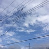 7.11  地区中総体の開催