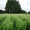 土曜日は栃木県のヤマギシの村へ