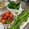 【採って作って食べる】食欲のない時に食べる野菜たっぷり豆腐丼