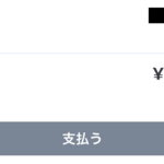 人生最高額のクレカ決済