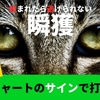 簡単過ぎて申し訳ないぐらい「でも本物」