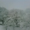 慎平君の成人式はすごい雪