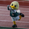 2024年7月13日　SC相模原vsアスルクラロ沼津　＠相模原ギオンスタジアム