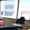 進学に向けて