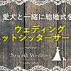 ブラッシング大っ嫌いなヨーキー福の顔変化！これはもうシェアするしかないかわいさ(笑)