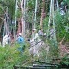  セトギワ花ヨメ（3)