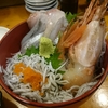 小田原で海鮮丼