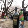 今年の花見酒