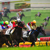 競馬写真 in 東京競馬場