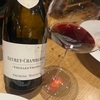 Gevrey ChambertinV.V.2020(FREDERIC MAGNIEN)