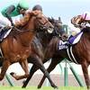 【高松宮記念 2021 穴馬を探せ！】的中の法則は明確⁉＆穴馬の取捨は馬場次第！