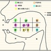 中島式言霊姓名判断サンプル入門編