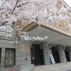 東京の穴場桜スポット！霞ヶ関の文化庁、財務省へお花見に出没！