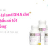  Bio Island DHA cho bà bầu có tốt không?