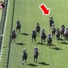 【2歳新馬戦】アスクセクシーモア、単勝1.5倍で衝撃の敗戦