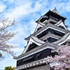 熊本城の桜が満開　震災に負けず800本が咲き誇る