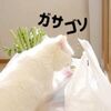 ポムさんのお買い物チェック