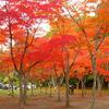 いいなと思ったんですが・・・