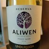 Undurraga Aliwen Reserva Pinot Noir ウンドラーガ アリウェン 2021 チリ