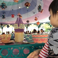 ディズニーへのベビーカーはレンタル貸し出しと持ち込みどっちがいいの 私は持ち込みをオススメします むきだしのことば ワーママえむのブログ