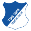 TSG 1899 HOFFENHEIM 2014/15 KIT  |  TSG 1899 ホッフェンハイム 2014/15