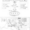 #49-55「戦後史」なんてないんだけどね、、ずっとやってるじゃん。