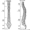 Vol.9 脊柱の動かし方について。