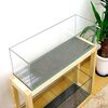 GLASIA GL-600Cレビュー：スリム水槽で広がるアクアリウムの可能性！