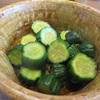 食卓の記録　／　野菜的な