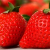 イチゴの選び方　美容美肌にいい果物