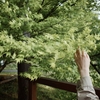 複雑化の教育論