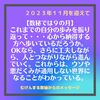 【2023年11月は数秘9の月】