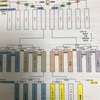 全日決定トーナメント表