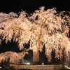 京都市東山区｜円山公園