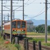 彼岸花のある風景その２（東近江）