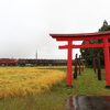 2022/9/24 朱い鳥居と赤い機関車