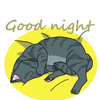 睡眠サプリの効果はあるか？