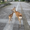 聞き取り困難症