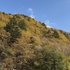 10/28～11/3　今週のまとめ　（2024-W44）