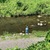 7月28日(月)秩父フライフィールドの河川情報