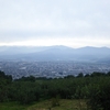 雨で茶臼山5本