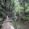 東京のオアシス・等々力渓谷公園