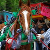 駆馬その1