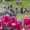 １年生の児童が遠足中、お茶の購入を要望したのに同行の校長が認めなかった。そのため熱中症で救急搬送されたなどとして、児童と両親が損害賠償を求める訴訟を起こしたという。しかし普通、本人が希望したらお茶を買ってくれなどといって金を渡す親もないだろう。普通は予備の水を持たせる。極めて特殊な事例だ。