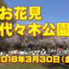 【お花見・２０１８】［代々木公園］【う山ＴＶ（バラエティ）】［２０１８年３月３０日］