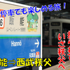 《旅日記》【乗車記】西武線に乗って秩父へ！～4000系に揺られてのんびり旅～