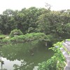 「倦鳥文庫」庭園