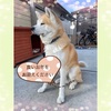 今年の営業が終了いたしました